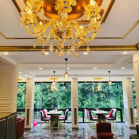 아파트호텔 Elegant Çamlıhemşin